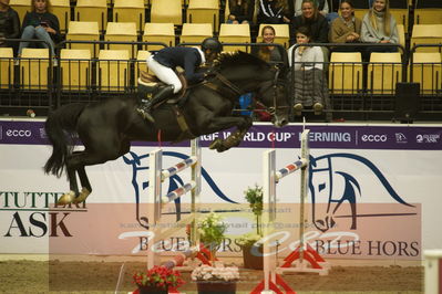 Worldcup Herning 2019
Csi3 grandprix 150cm
Nøgleord: ameen elmaghraby;conrad 123