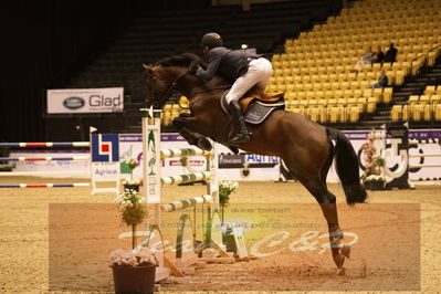 Worldcup Herning 2019
Nøgleord: hannes ahlmann;nerrado