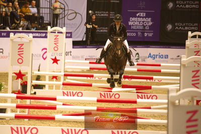 Showjumping
højdespring, hoghjumping
Nøgleord: charlotte kondrup;dithmarsia