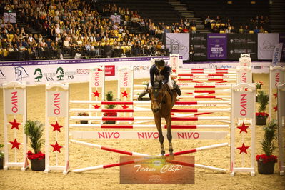 Showjumping
højdespring, hoghjumping
Nøgleord: ameen elmaghraby;velwet queen