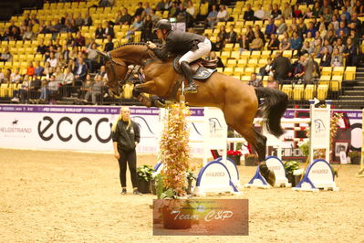 Showjumping
stutteri ask  gp 150cm
Nøgleord: pieter kenis;kashmir van d'oude pastory