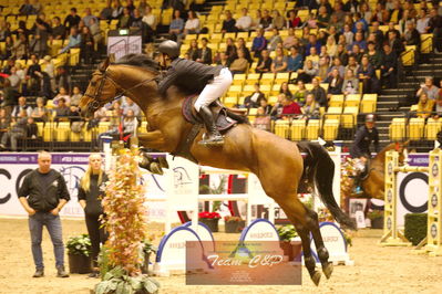 Showjumping
stutteri ask  gp 150cm
Nøgleord: erik preben strand;indoletto