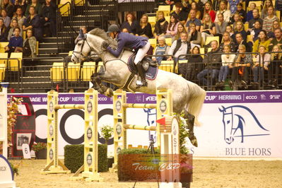 Showjumping
stutteri ask  gp 150cm
Nøgleord: jack ray nielsen;gerdings  carrie