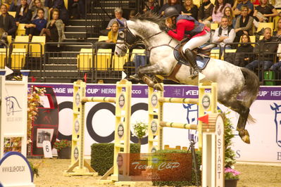 Showjumping
stutteri ask  gp 150cm
Nøgleord: rikke hasstrup kristensen;first  choice ht