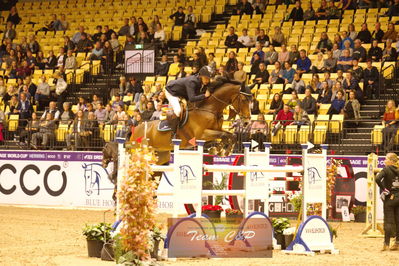 Showjumping
stutteri ask  gp 150cm
Nøgleord: kim kristensen;albert k