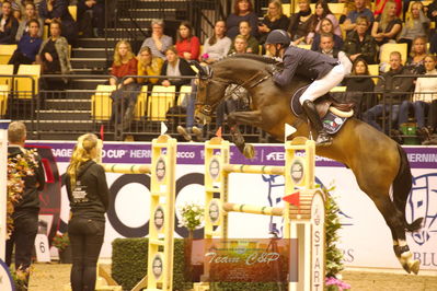 Showjumping
stutteri ask  gp 150cm
Nøgleord: patrick stühlmeyer;varihoka du temple