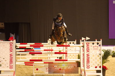 Showjumping
stutteri ask  gp 150cm
Nøgleord: maksymilian wechta;celtia ll