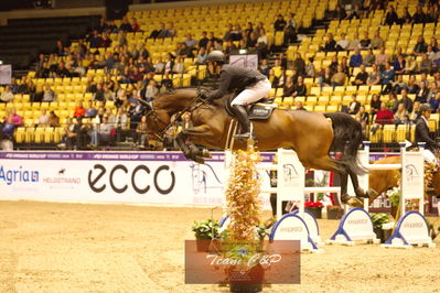 Showjumping
stutteri ask  gp 150cm
Nøgleord: sergio neuppmann junior;chicca blue