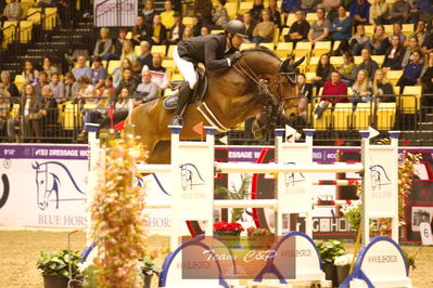 Showjumping
stutteri ask  gp 150cm
Nøgleord: sergio neuppmann junior;chicca blue