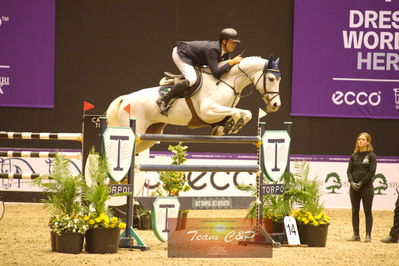 Showjumping
stutteri ask  gp 150cm
Nøgleord: jens bachmann;carmen 255