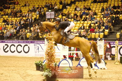 Showjumping
stutteri ask  gp 150cm
Nøgleord: stephi de boer;facebook 2