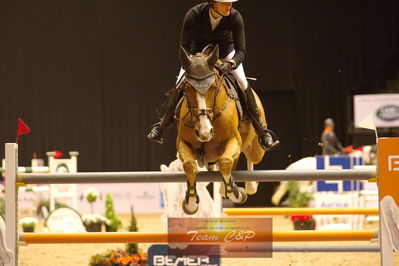 Showjumping
stutteri ask  gp 150cm
Nøgleord: stephi de boer;facebook 2