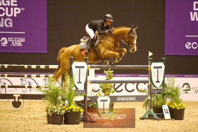 Showjumping
stutteri ask  gp 150cm
Nøgleord: stephi de boer;facebook 2