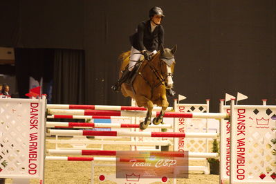 Showjumping
stutteri ask  gp 150cm
Nøgleord: stephi de boer;facebook 2