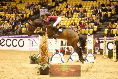 Showjumping
stutteri ask  gp 150cm
Nøgleord: irma karlsson;chacconu