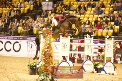 Showjumping
stutteri ask  gp 150cm
Nøgleord: irma karlsson;chacconu