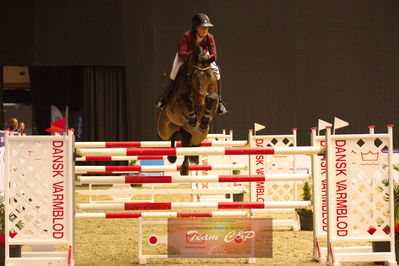 Showjumping
stutteri ask  gp 150cm
Nøgleord: irma karlsson;chacconu