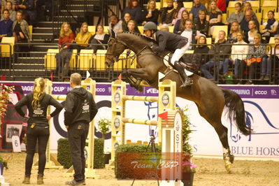 Showjumping
stutteri ask  gp 150cm
Nøgleord: 3q qira;lars bak andersen