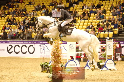 Showjumping
stutteri ask  gp 150cm
Nøgleord: rolf-goren bengtsson;emir r