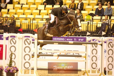 Showjumping
stutteri ask  gp 150cm
Nøgleord: jörg naeve;hh fleur