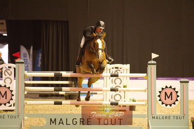 Showjumping
csi3 145cm
Nøgleord: marcus westergren;carl girl 5