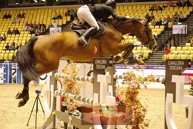 Showjumping
csi3 145cm
Nøgleord: marcus westergren;carl girl 5