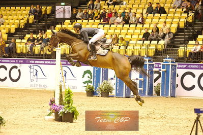 Showjumping
csi3 145cm
Nøgleord: shane carey;quinn