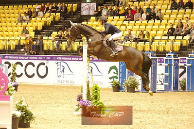 Showjumping
csi3 145cm
Nøgleord: selma hammarsström;lepus