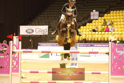 Showjumping
csi3 145cm
Nøgleord: selma hammarsström;lepus