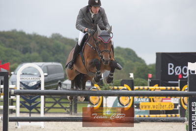 dm 2019
csi2 145cm int.
Nøgleord: theodor wildfang just linde;grand cru van paemel