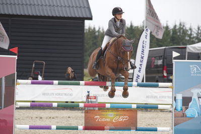 dm 2019
csi2 145cm int.
Nøgleord: phillipa w linde;elien