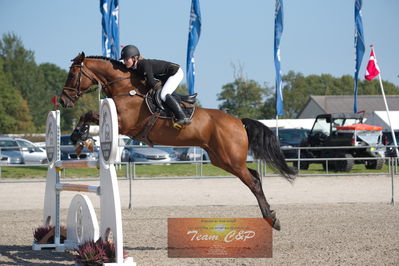 Dansk Rideforbunds Championats kvalifikation 5 års på vilhelmsborg
Nøgleord: trine kjersgaard;fmr's baloo