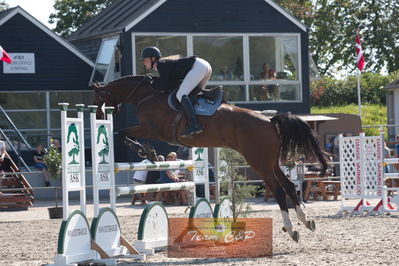 Dansk Rideforbunds Championats kvalifikation 5 års på vilhelmsborg
Nøgleord: fmr's baloo;trine kjersgaard