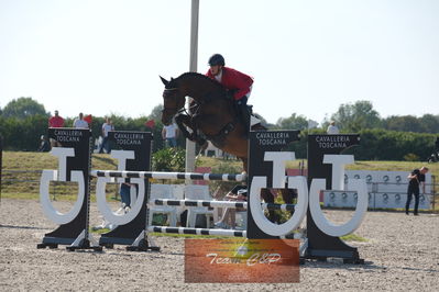 Dansk Rideforbunds Championats kvalifikation 5 års på vilhelmsborg
Nøgleord: kasper h  hansen;katrinelunds satisfaction