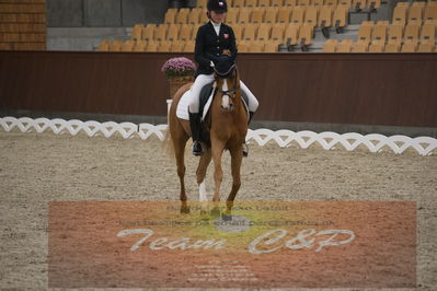 Ecco Cup finaler 2019
Kat 1 ponyer
Nøgleord: nathalie thomassen;lykkehøjs dream of dornik