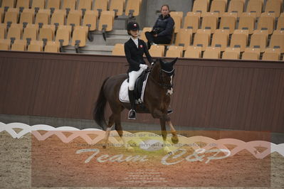 Ecco Cup finaler 2019
Kat 1 ponyer
Nøgleord: liva addy guldager nielsen;d'artagnan 187