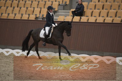 Ecco Cup finaler 2019
Kat 1 ponyer
Nøgleord: ida guldbransen;chilli