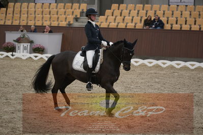 Ecco Cup finaler 2019
Kat 1 ponyer
Nøgleord: ida guldbransen;chilli