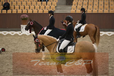 Ecco Cup finaler 2019
Kat 1 ponyer
Nøgleord: liva addy guldager nielsen;d'artagnan 187;lap of honour