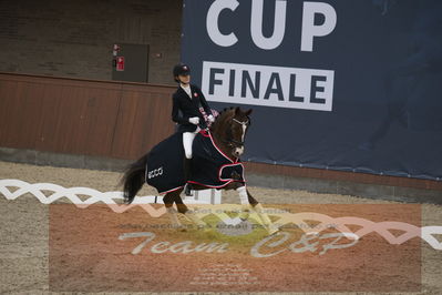 Ecco Cup finaler 2019
Kat 1 ponyer
Nøgleord: liva addy guldager nielsen;d'artagnan 187;lap of honour