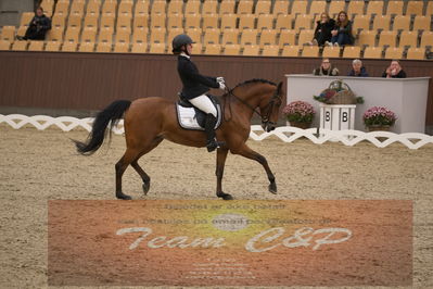 Ecco Cup finaler 2019
kat 2 ponier
Nøgleord: karoline mathilde ravnsbo;nørlunds beatrice