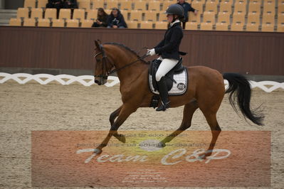 Ecco Cup finaler 2019
kat 2 ponier
Nøgleord: karoline mathilde ravnsbo;nørlunds beatrice