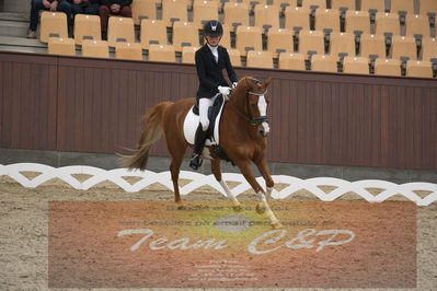 Ecco Cup finaler 2019
kat 2 ponier
Nøgleord: sofie gandrup;bruno mars-g