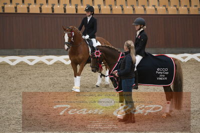 Ecco Cup finaler 2019
kat 2 ponier
Nøgleord: johanne kofoed jensen;aurora a;lap of honour