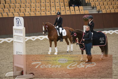 Ecco Cup finaler 2019
kat 2 ponier
Nøgleord: johanne kofoed jensen;aurora a;lap of honour