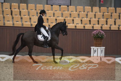 Ecco Cup Finaler 2019
Junior, u18
Nøgleord: sofie amalie kjærgaard wettendorff;sauvignon