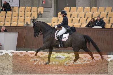 Ecco Cup Finaler 2019
Junior, u18
Nøgleord: camilla sørensen olsen;dørr's nevil