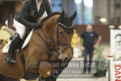 Dansk Rideforbunds Championats finaler 2018 spring
Dansk Rideforbunds Championats finaler 2018
5 års
Nøgleord: alegra ask;maria bjørnkjær bennedsgaard