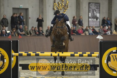 Dansk Rideforbunds Championats finaler 2018 spring
Dansk Rideforbunds Championats finaler 2018
6 års
Nøgleord: birkenæs claudia;sabine korfitz christensen