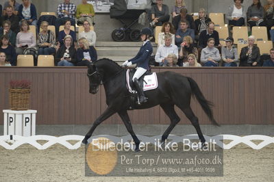 Dansk Rideforbunds Championats finaler 2018 dressur
Dansk Rideforbunds Championats finaler 2018
5 års præmie - 6års klassen
Nøgleord: fürstenflame;anne sofie aaen